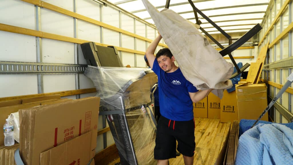 professional movers